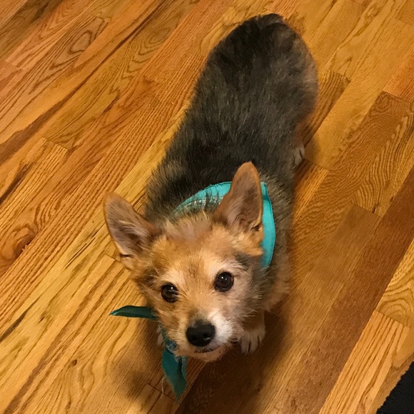 Like to Bookmark my closet - Picture 2 of 4